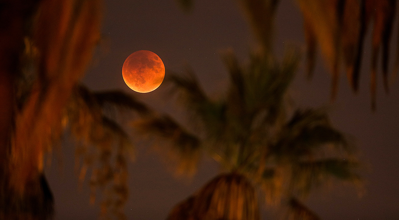 Illustration for article titled Las mejores fotos del eclipse total y la superluna de ayer